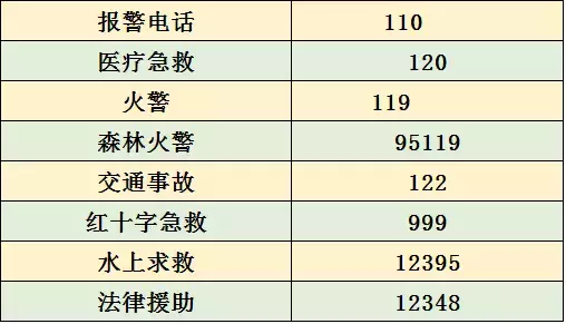 重庆违章查询,重庆违章查询官方网