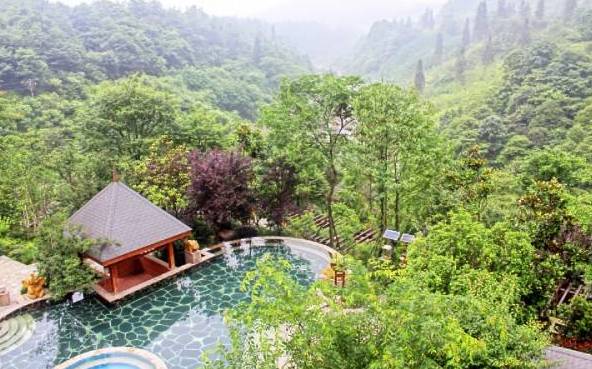 火了！川大分校将落户眉山，全国都羡慕！