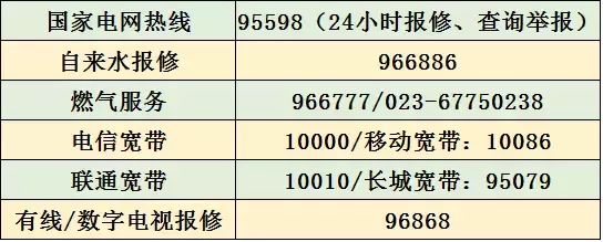 重庆违章查询,重庆违章查询官方网