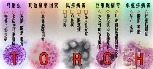 怀孕产检医生要我查“TORCH”，结果阳性又告诉我没问题？