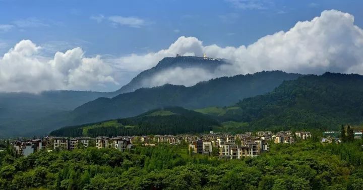 火了！川大分校将落户眉山，全国都羡慕！