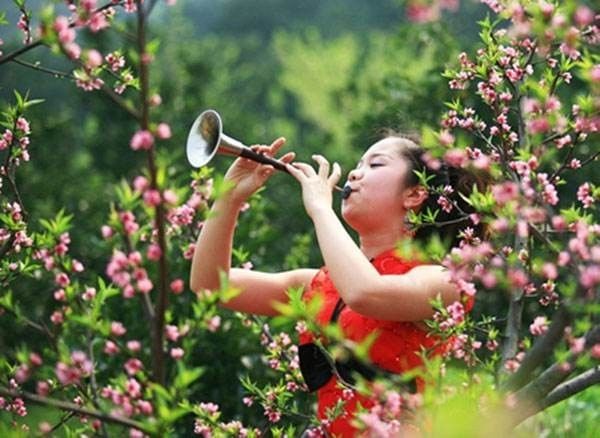 火了！川大分校将落户眉山，全国都羡慕！