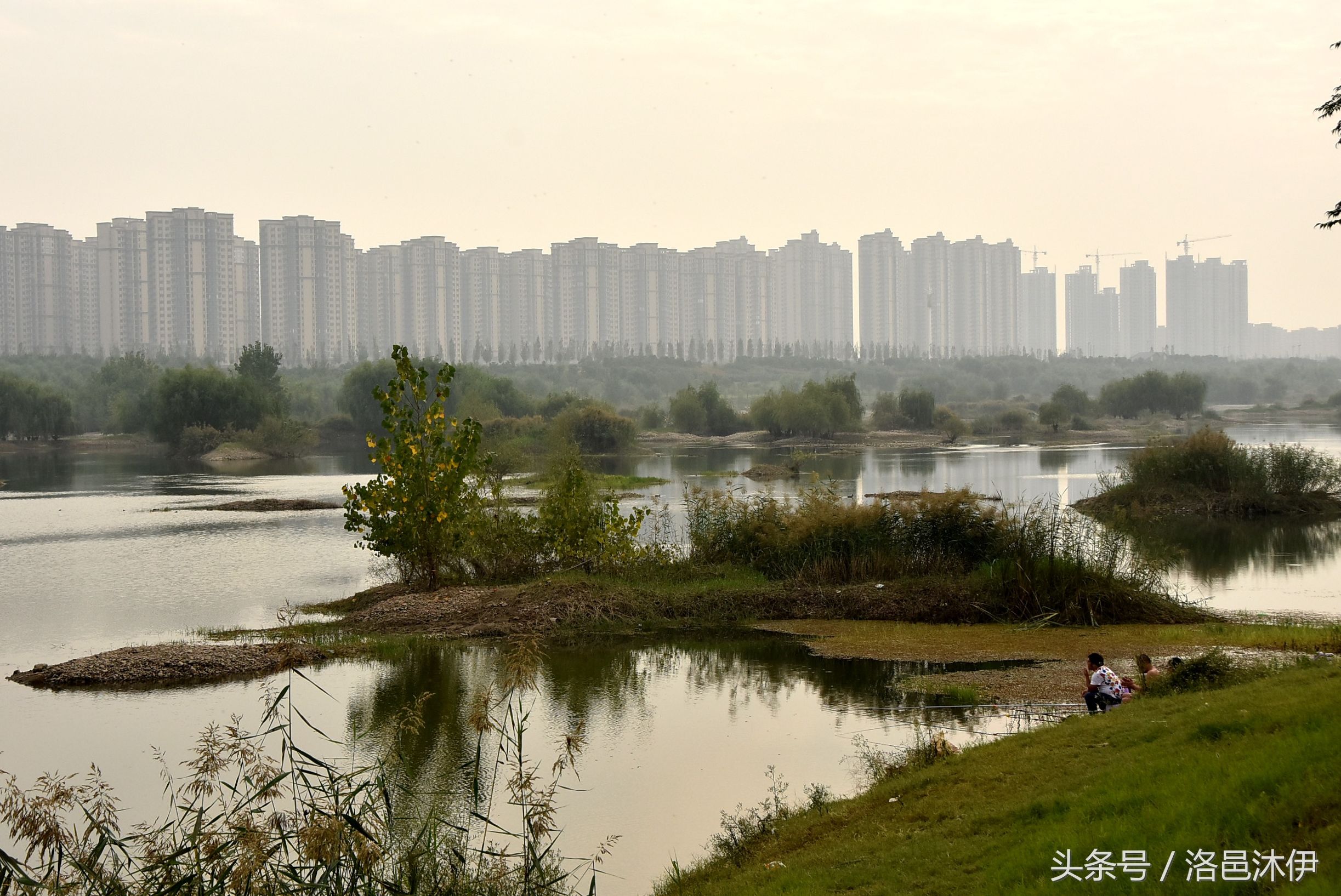 芦花水浅白鹭闲，一杆一苇钓秋寒