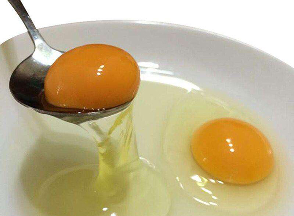 受到大家热捧的绿壳鸡蛋，是鸡吃了含有绿色添加剂食物后产生的？