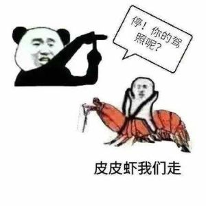 卡是什么意思网络用语污(卡不卡是什么意思网络用语污