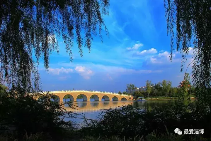 淄博市植物园的湖叫什么地方（植物园的人工湖体验慢生活）