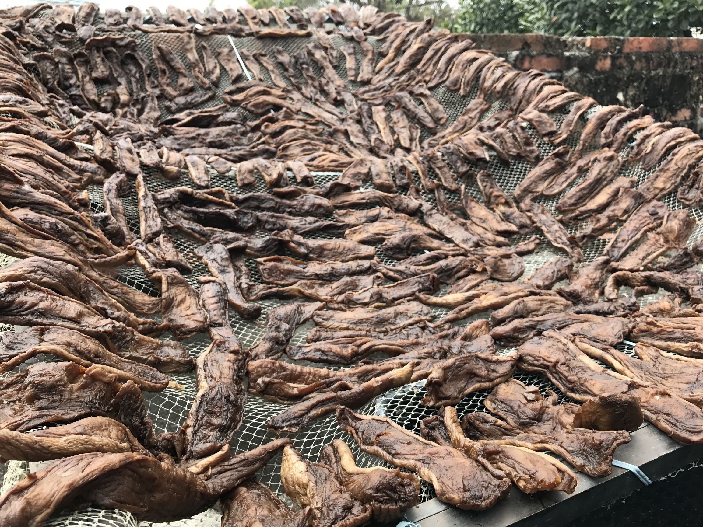 这也是地道的北海菜，名字很难听但是味道却非常好