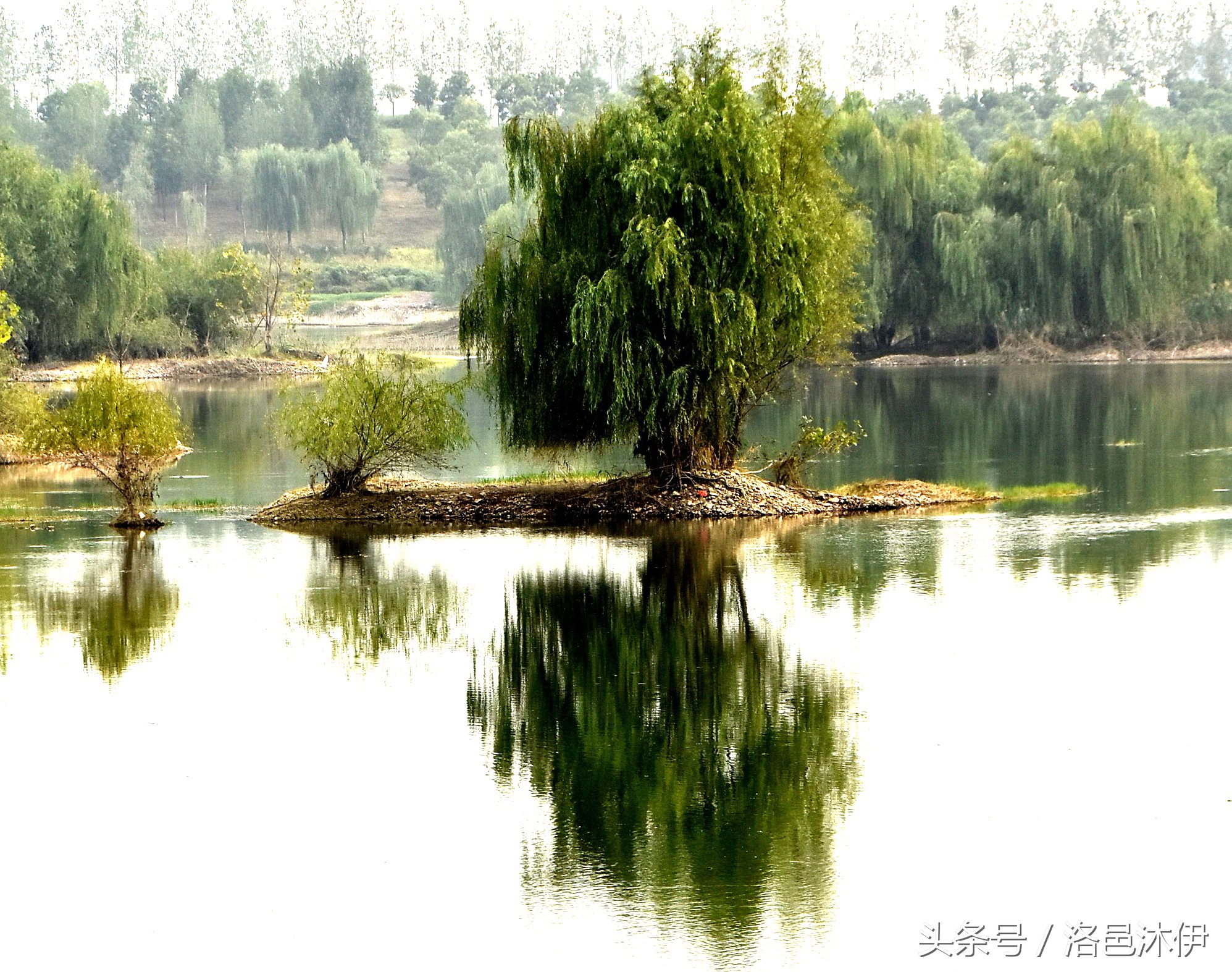 芦花水浅白鹭闲，一杆一苇钓秋寒