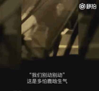 鹿晗粉丝脱粉 居然不是因为偶像谈恋爱？吃瓜的都上当了！