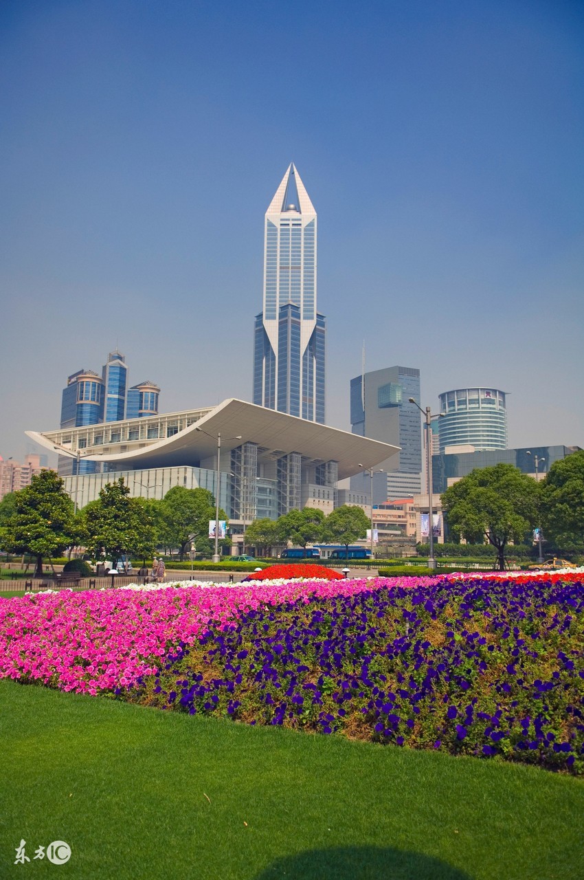 上海高楼排名(上海高楼排名列表2021)