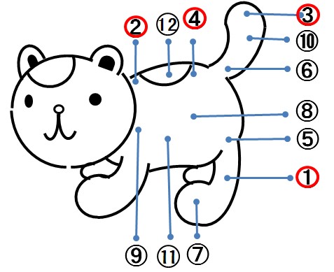 科普图解教你怎么看异国短毛猫