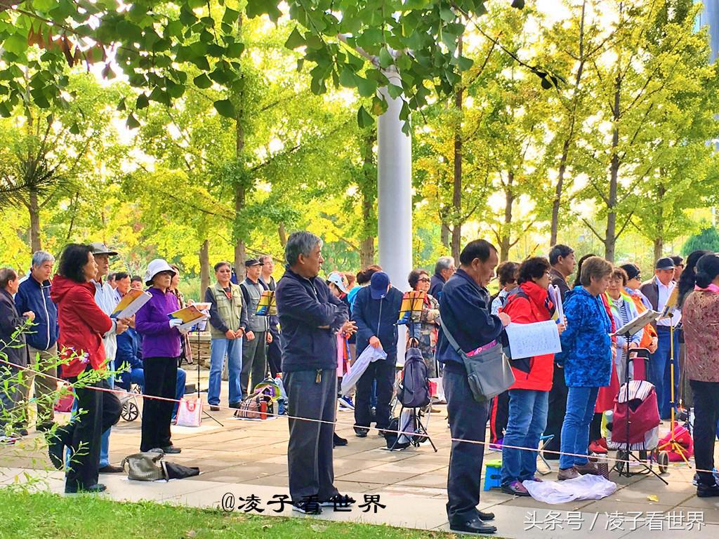 水立方有多美(十一过后，城市中的森林公园秋色正浓)