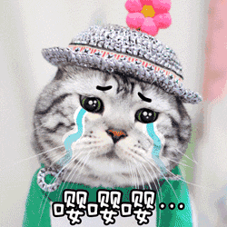 2018天津高校寒假排行榜出炉~你的学校拖后腿了吗？