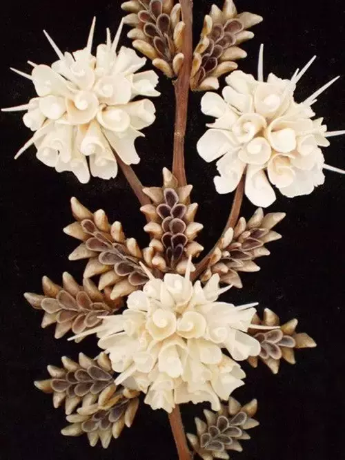 贝壳手工制作大全图片(幼儿园废物利用手工) - 赤虎壹号