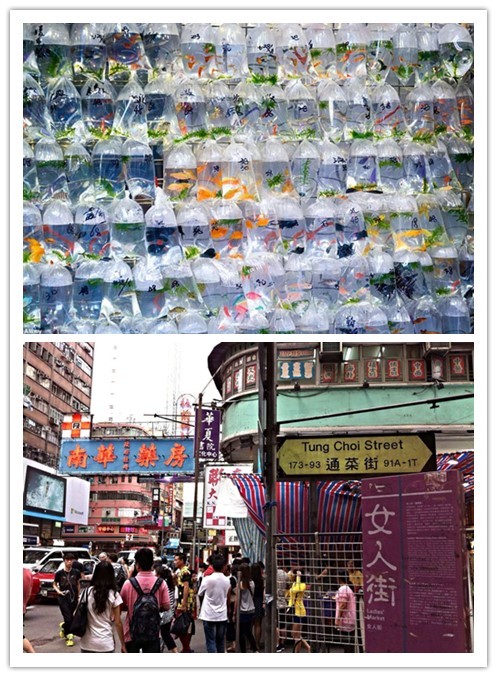 图片[2]-港货在哪个网站买比较真 香港购物攻略必买清单大全-时尚伊人网