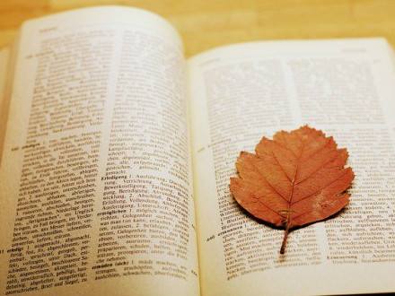 英语写作不知如何造句？常见写作例句最全汇总