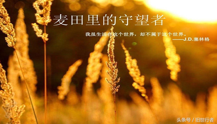 麦田里的守望者经典语句，令人回味