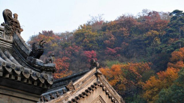 戒台寺秋景如诗如画，秋雨一夜寒，山间红叶满！