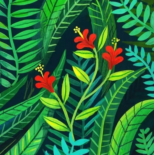 2018年江苏、江西高考报名时间已公布，别错过！