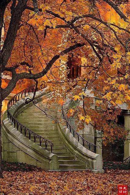 “落叶他乡树，寒灯独夜人”，很像我们今天的处境