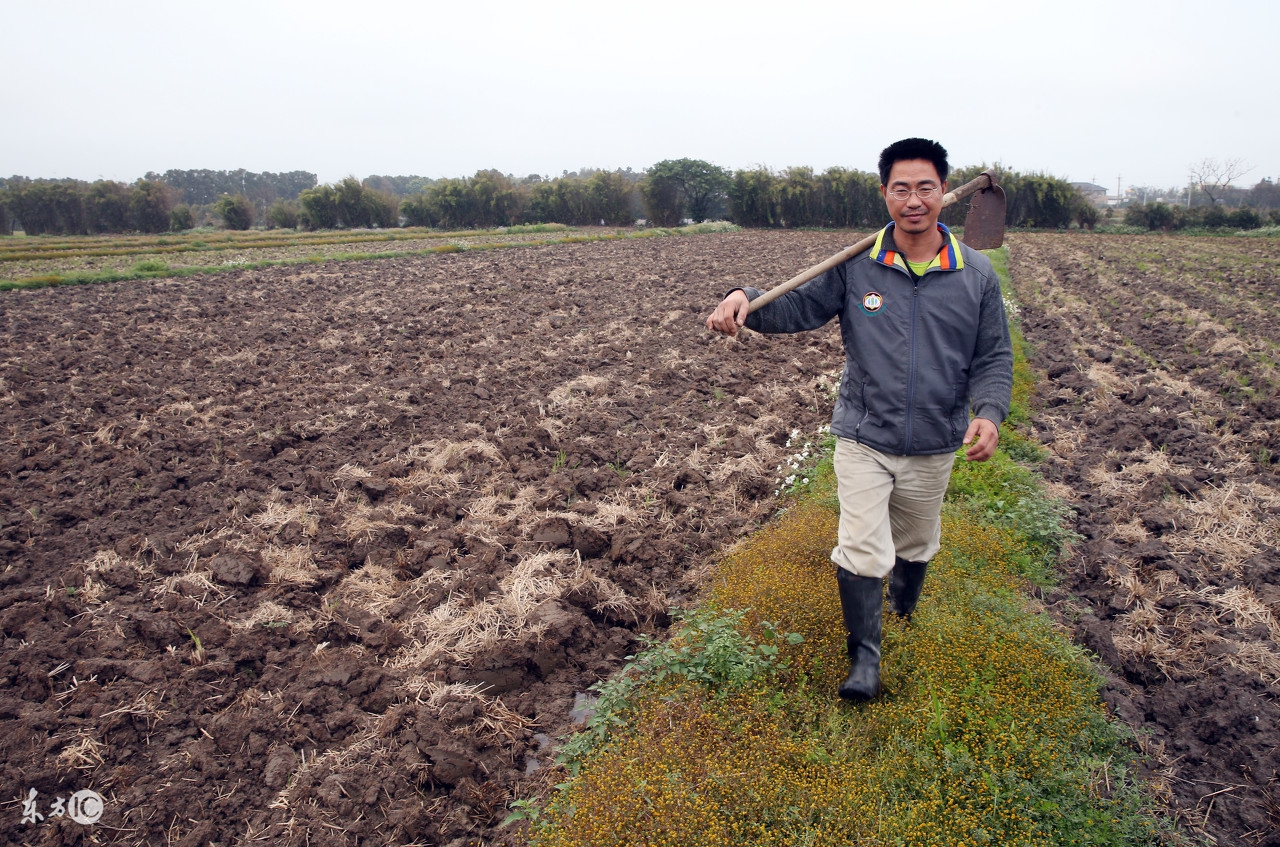 新一轮的轮作休耕补贴来了,每亩地最高补贴1300元
