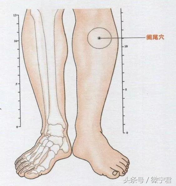 48个经外奇穴功效及穴位图详解之一（收藏慢慢看）