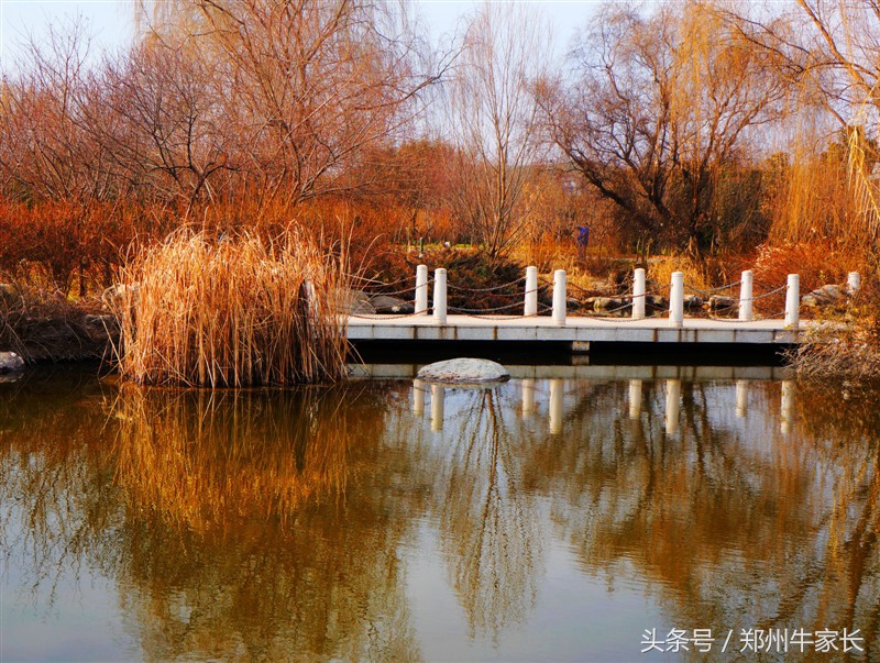 西北农林科技大学：最受“委屈”的985大学