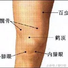 48个经外奇穴功效及穴位图详解之一（收藏慢慢看）