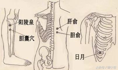 48个经外奇穴功效及穴位图详解之一（收藏慢慢看）