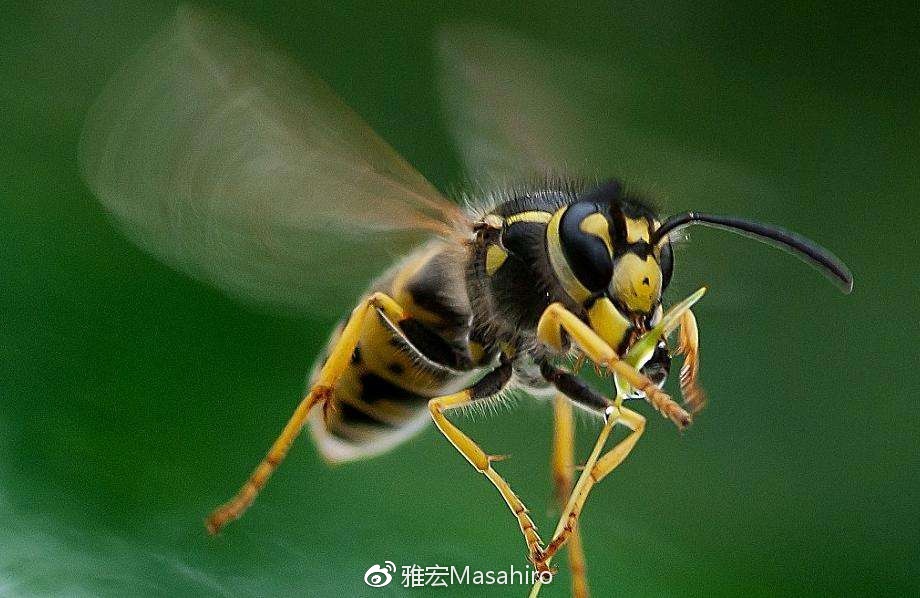 阿苏说进球会庆祝(光看队名，我们就差了日本足球很多年)