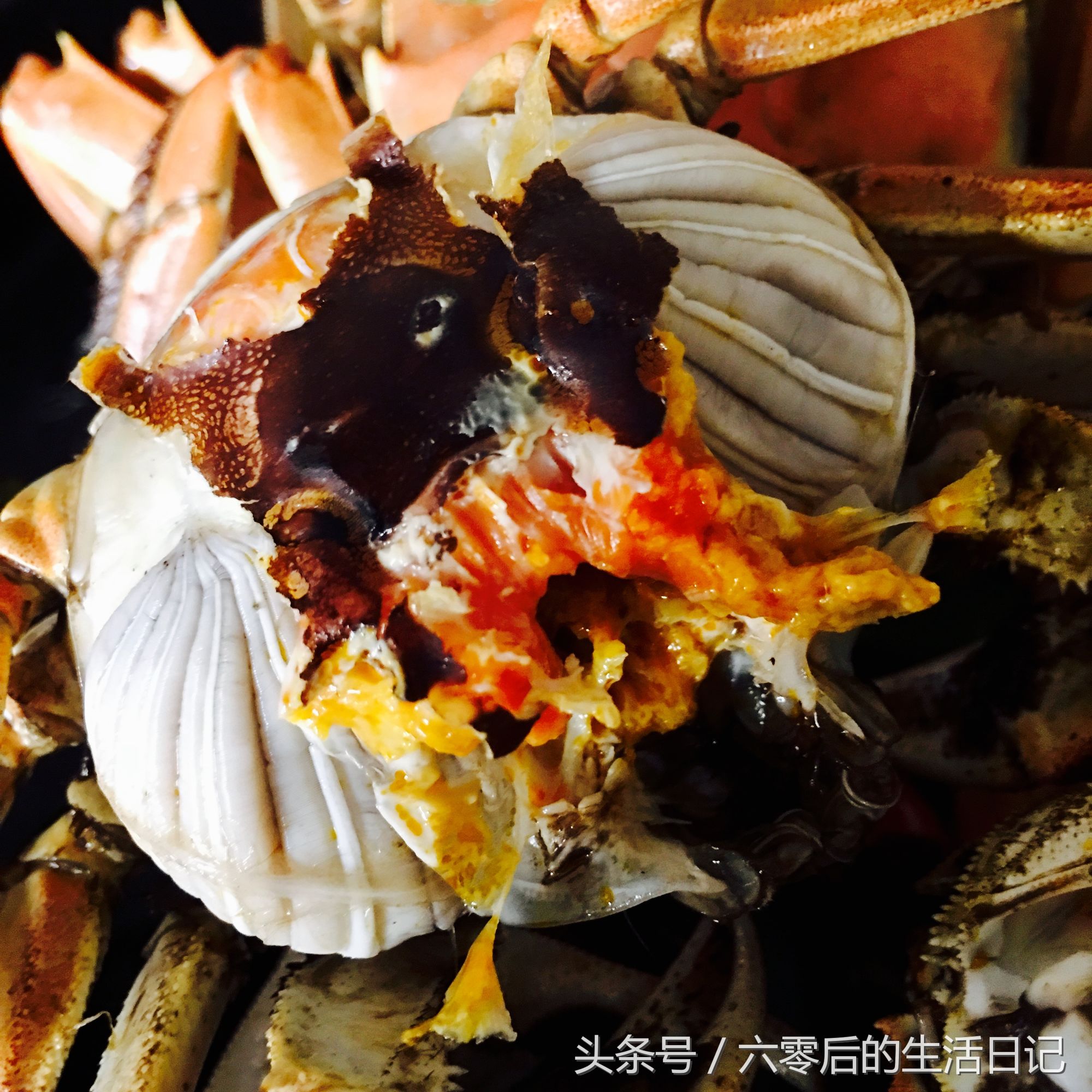 盘锦河蟹做法(盘锦河蟹，1两半的母蟹就这么肥，麻辣煮法吃得真过瘾)