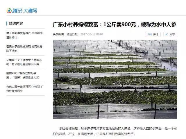 广东人小时候最害怕的“吸血虫”，一公斤竟可以卖900元？