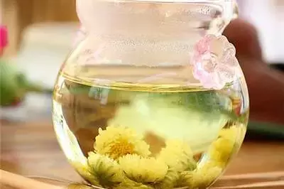 重阳节为什么要喝酒，还必须是菊花酒 你知道吗？