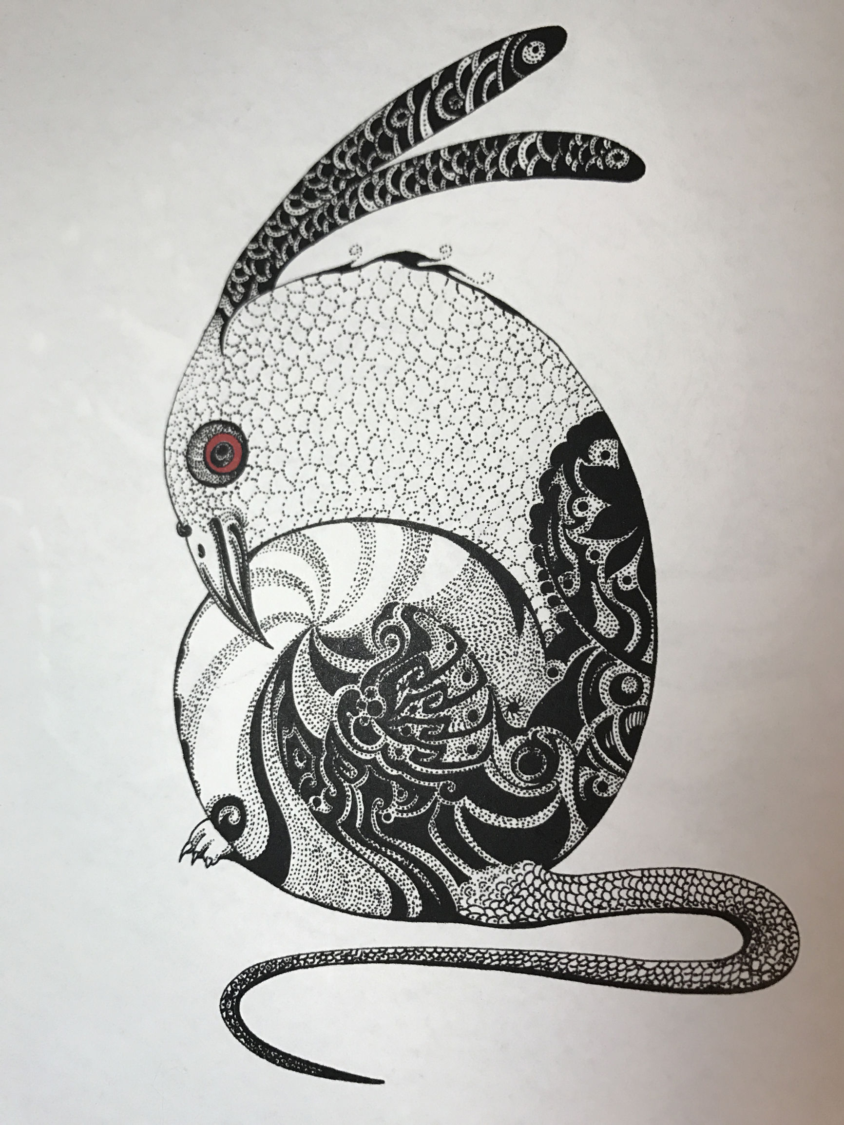 读《山海经》,看神兽:犰狳