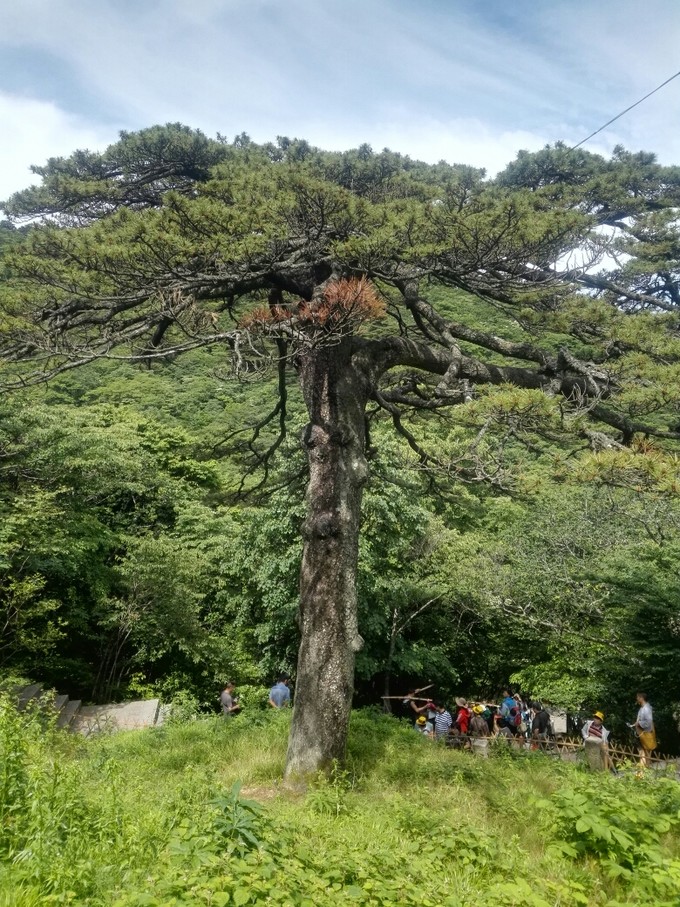 登黄山天下无山是谁说的_登黄山天下无山观止矣什么意思 - 齐齐哈尔