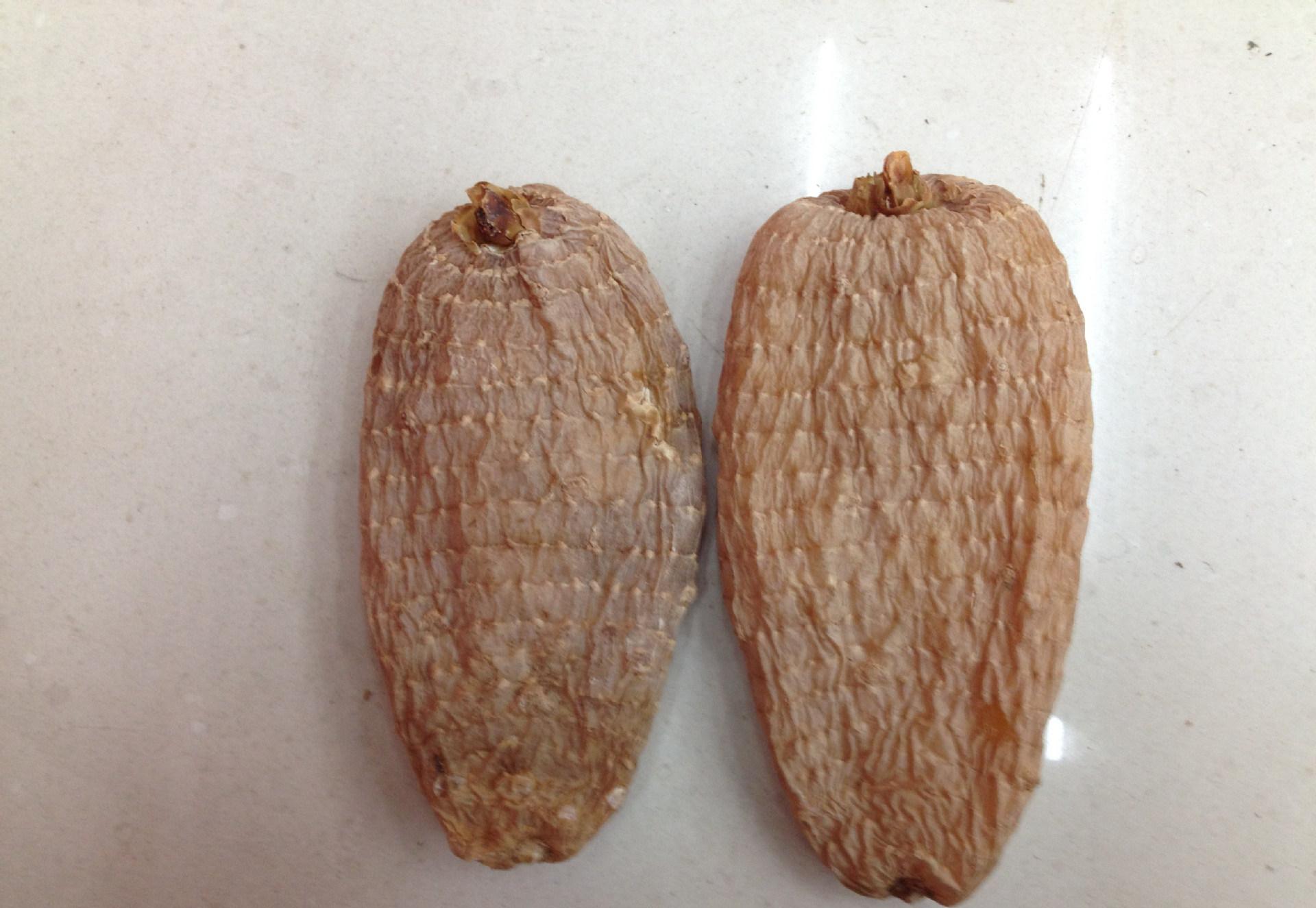 天麻的功效与作用吃法 天麻最简单的吃法-大连之家