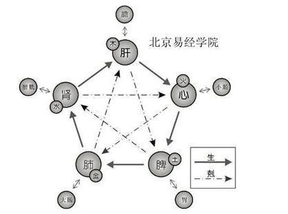 排八字的最基本步骤与五行的生克法则