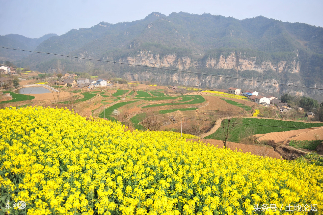 新《土地承包法》即将出台，农民进城落户不用再交回承包地！