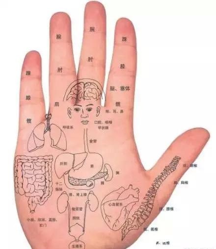 手相不只能算命，还可以看出身体健康状况