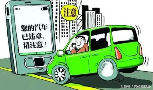 热门违章查询APP推荐，精准快速查车况