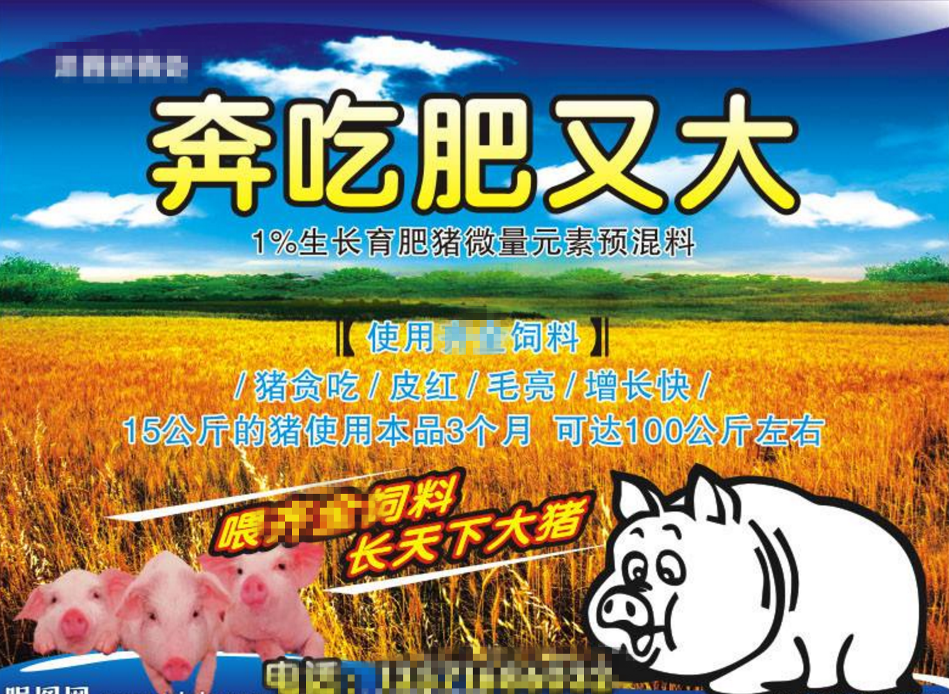 豬飼料添加劑,豬飼料添加劑有哪些