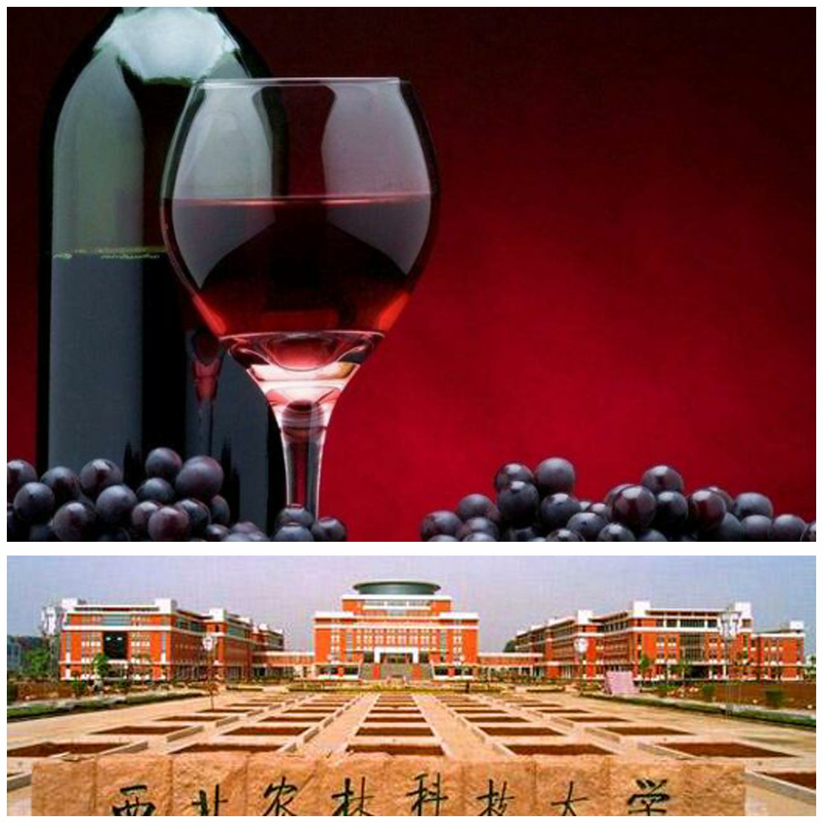 西北农林科技大学凭什么是985，看完你就懂了（转载）