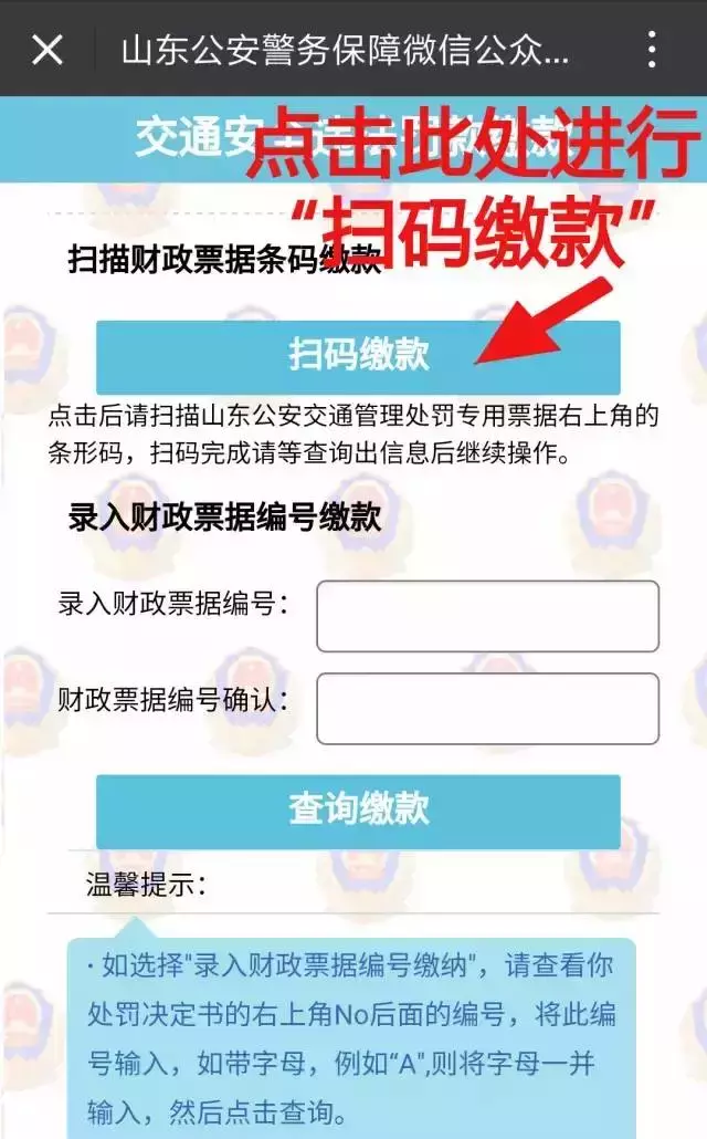 聊城市车辆违章查询,聊城市车辆违章查询网