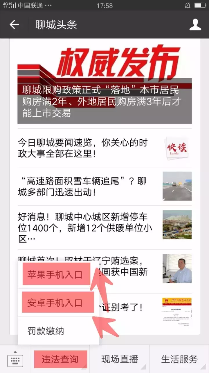 聊城市车辆违章查询,聊城市车辆违章查询网