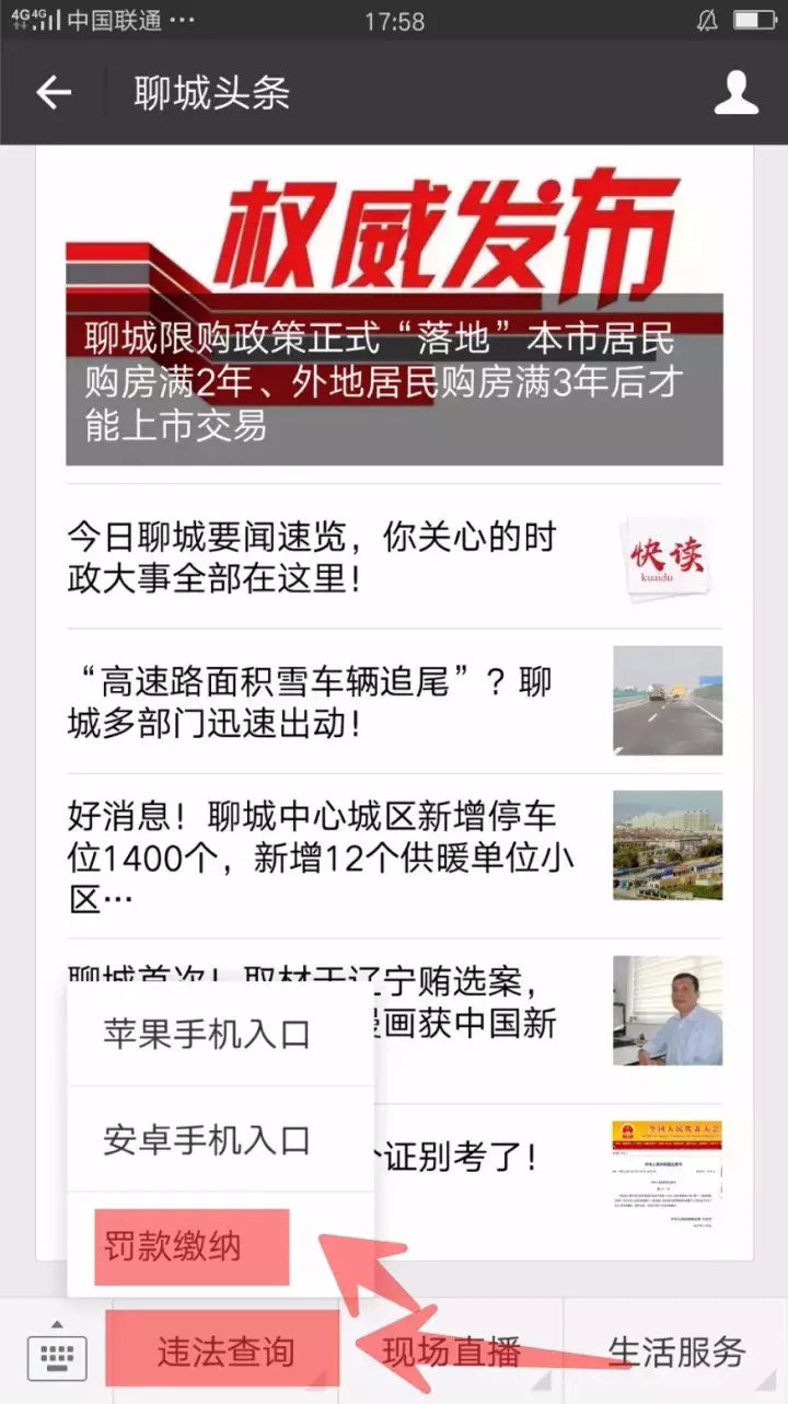 聊城市车辆违章查询,聊城市车辆违章查询网