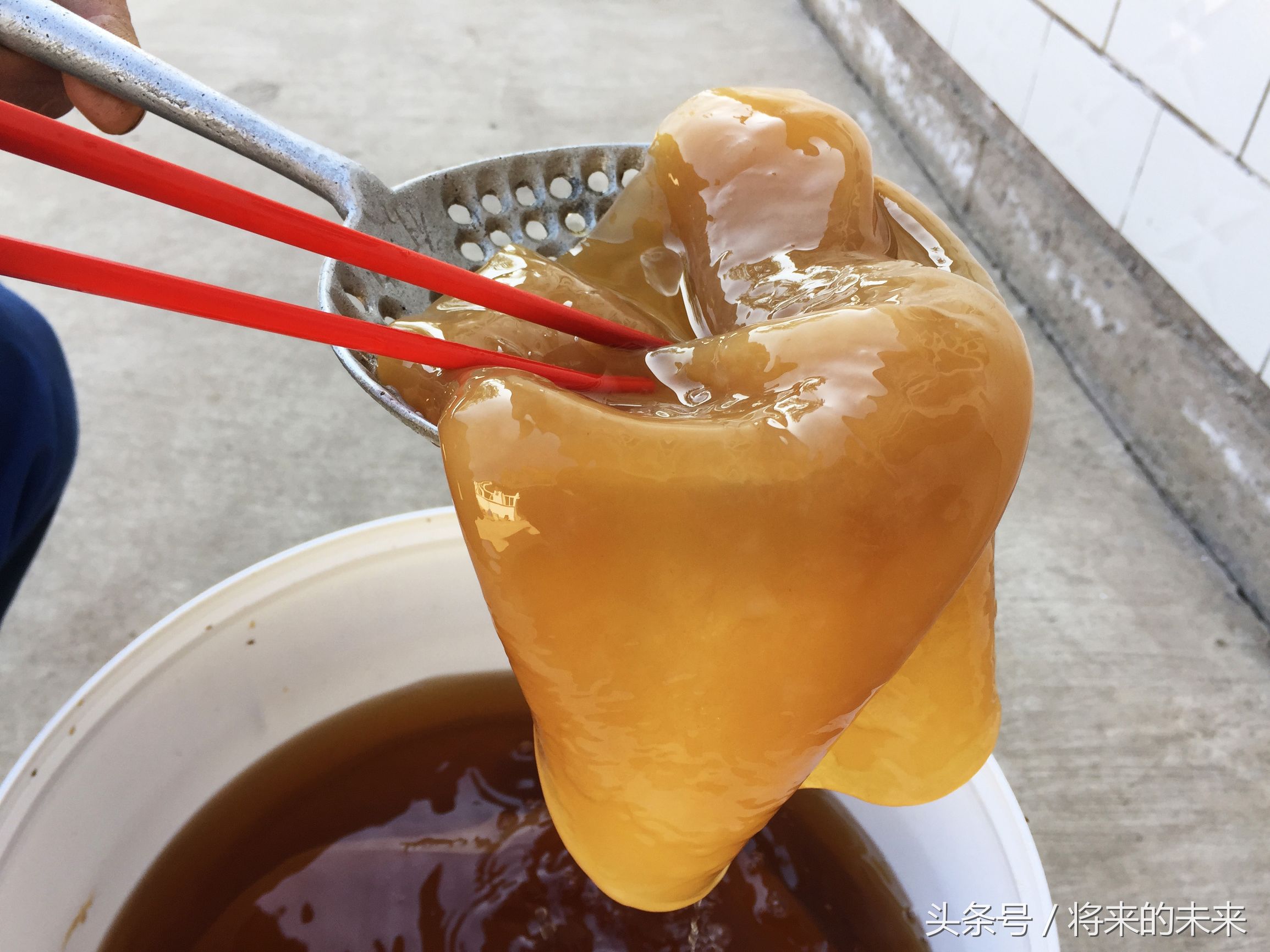 海宝是什么(海宝是什么动物) - 风集网