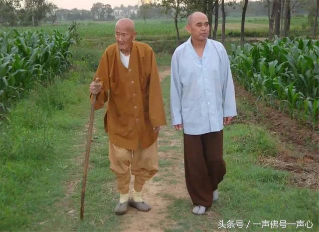 净土法门：112岁的海贤老和尚，佛门榜样！