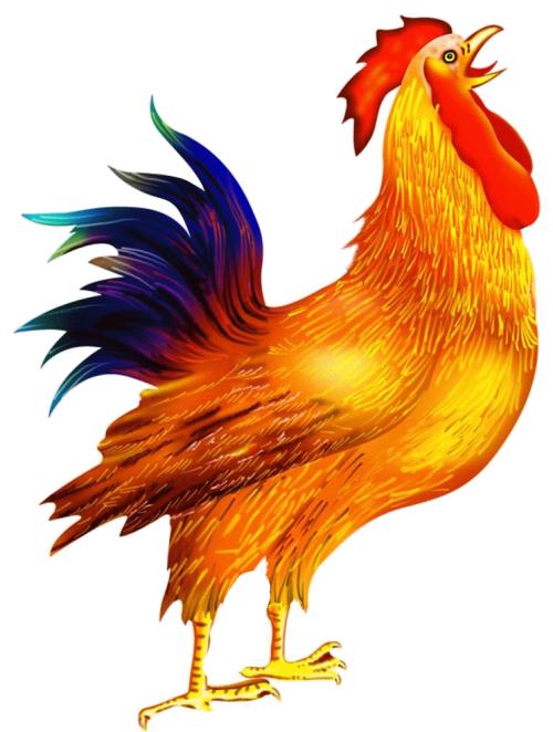 属鸡的人买房最佳楼层 属鸡住几层楼最好的选择最吉利_达一风水网