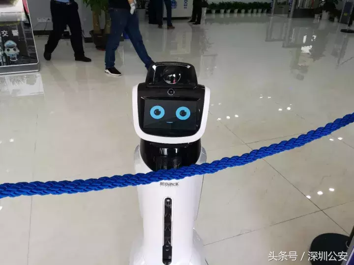 深圳车管所网站,深圳车管所网站查询