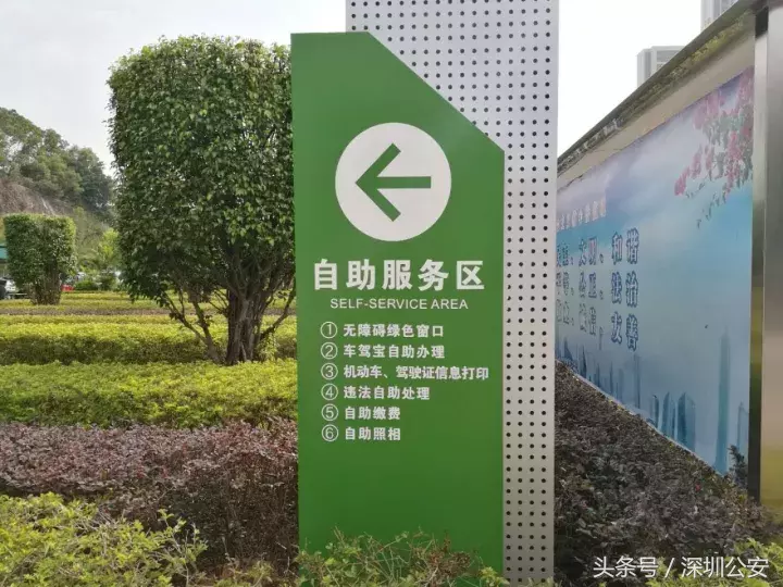 深圳车管所网站,深圳车管所网站查询